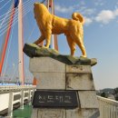 수림관광여행사