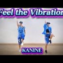 Feel the Vibration(필 더 바이브레이션) - KANINE 이미지