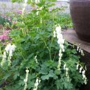 영선농장 이미지