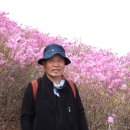 관산리1호 | 진달래꽃 만발한 천봉산과 고인돌공원의 옛정취