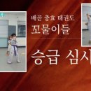 배곧 충효 태권도 이미지