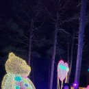 고요정원 이미지