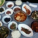 황소백반 Daum카페