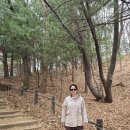 BM | 뉴발란스 740 U740BM2 블랙 솔직 후기! 사이즈 팁부터 반년 착용 착화감까지 (feat. 530 비교)