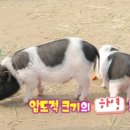 하영목장 네이버블로그