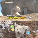 마리동물의료센터 이미지