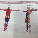 경희튼튼본한의원 이미지