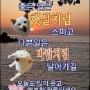 티켓투더문 이미지
