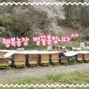 행복농장 이미지