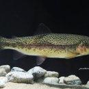 유상수산 이미지