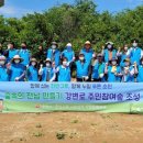 순천 나무숲 이미지