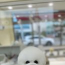 마음이네 멍발소 네이버블로그