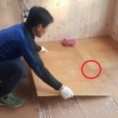 호수 황토 찜질방 이미지