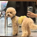 반야시스터 이미지