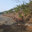 별주부전테마파크 이미지