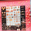 세계조개박물관 이미지