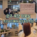 중앙 헤어숍 | [양주/경기] 반차 내고 다녀온 양주 옥정 미용실 트리니티헤어 옥정중앙역점 염색 후기