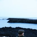 우연 한동 이미지