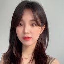 스튜디오코이드