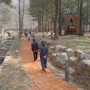 임실군, 성수산 왕의 숲길 맨발 걷기 개장...몸과 마음 회복!