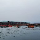 부흥호좌대2낚시터 이미지