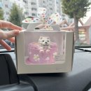 개슈(GAESHU) 이미지