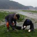 감태해장국 이미지