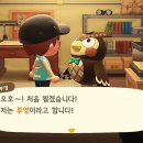 너굴상점