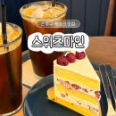 우리사랑약국 | 은평구 카페 추천 케이크 맛집 스위츠마인 내돈내산 후기