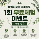 크로스핏바벨하우스 네이버블로그