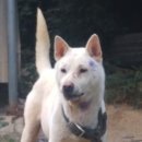 창용농장 이미지