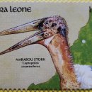 [ 조류우표 1,243 ] 아프리카대머리황새 이미지