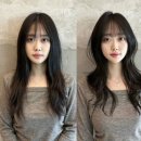 동명헤어라인