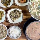 제주의 이유 이미지