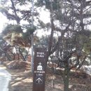 한티가는 길 도보 성지순례 2월24일~ 26일 이미지