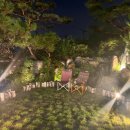 드까르멜릿 이미지