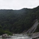 '팔담팔정의 풍류' 함양 화림동 계곡 풍경 이미지