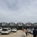 (주)네오환경노동조합 | 기장 미래화훼단지 다녀온 후기 | 봄에는 식물 쇼핑을