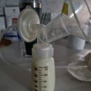 중구보건소 1층 | [울산 중구보건소 스펙트라 유축기 대여]