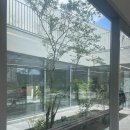오르토커피(ortho coffee) | 울산 언양 잔잔하고 예쁜 힐링카페, 오르토커피