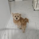 더 랩스 피트니스 삼전 | [2025.09] 만병의 근원은 스트레스