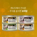 반려라이프 이미지