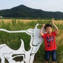 청미천 6 이미지