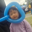 송도오션파크 | 부산 송도 오션파크 25년 10월 제2회 부산 서구 어린이 큰잔치 후기