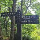 강원화원 이미지