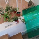 러브얼스 이미지