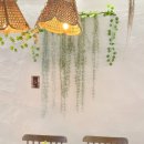 카페모모 이미지