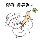 데이빗 복싱체육관 이미지