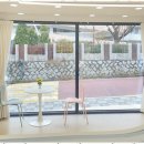 강아지 미용실 이미지