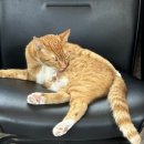 봉담삼육오웰의원 이미지